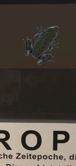 Game screenshot NewFossilsAR hack