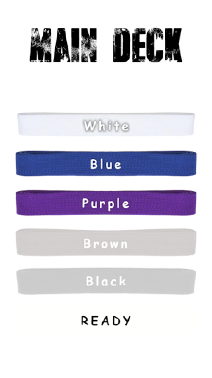 BJJ Training Companion