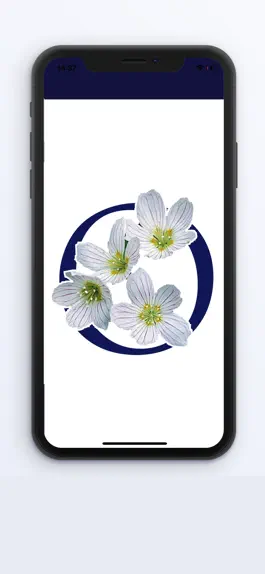 Game screenshot Oxalis Osteopathy mod apk