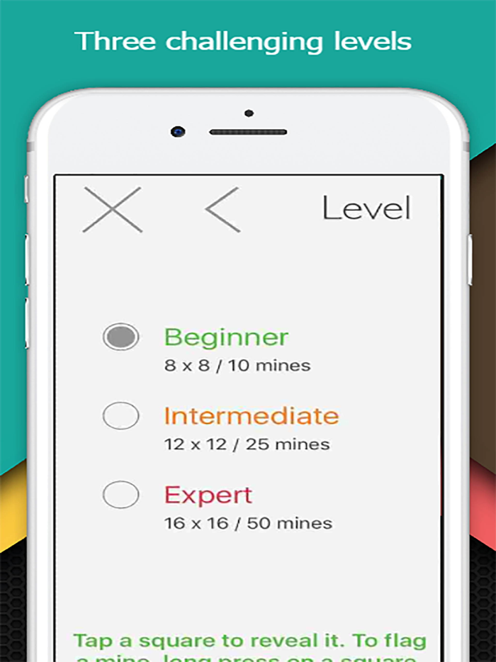 Minesweeper Pro Version