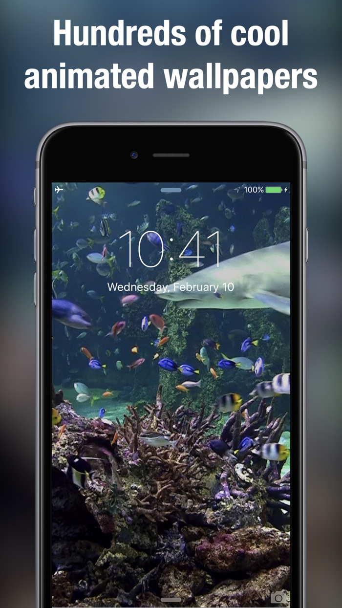 Dynamic wallpapers and themes