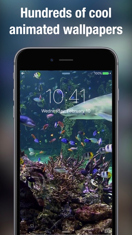 Dynamic wallpapers & themes screenshot-3