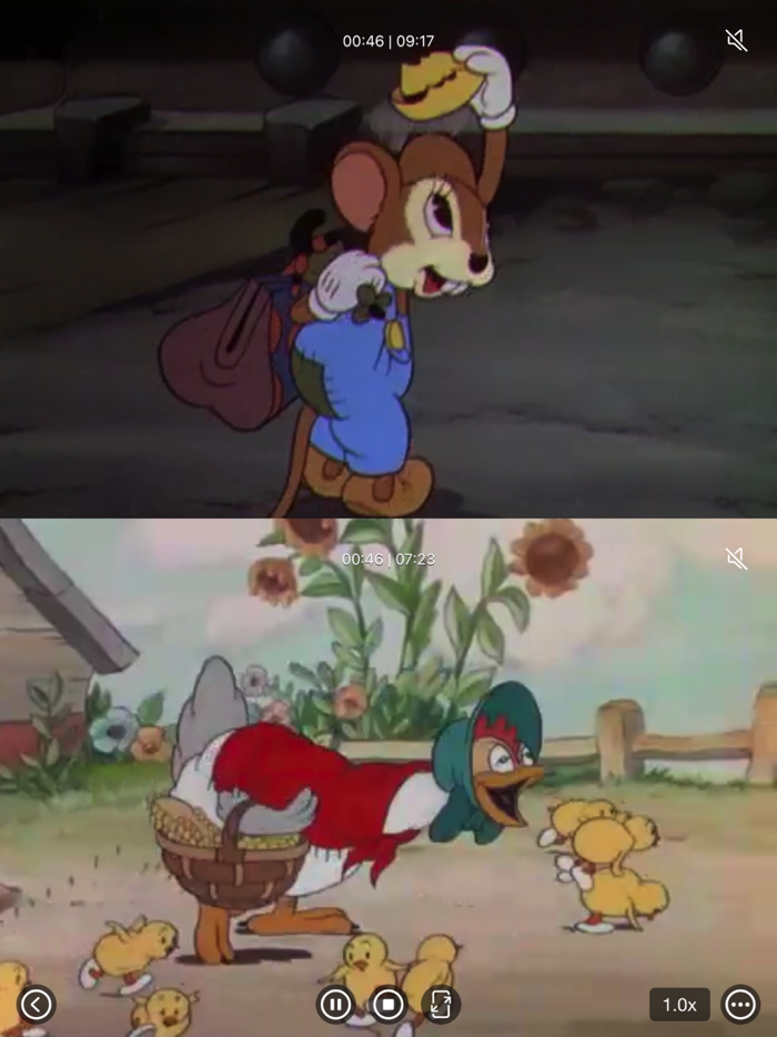 Multi Video Player Plus