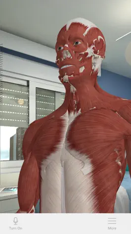 Game screenshot HoloHuman apk