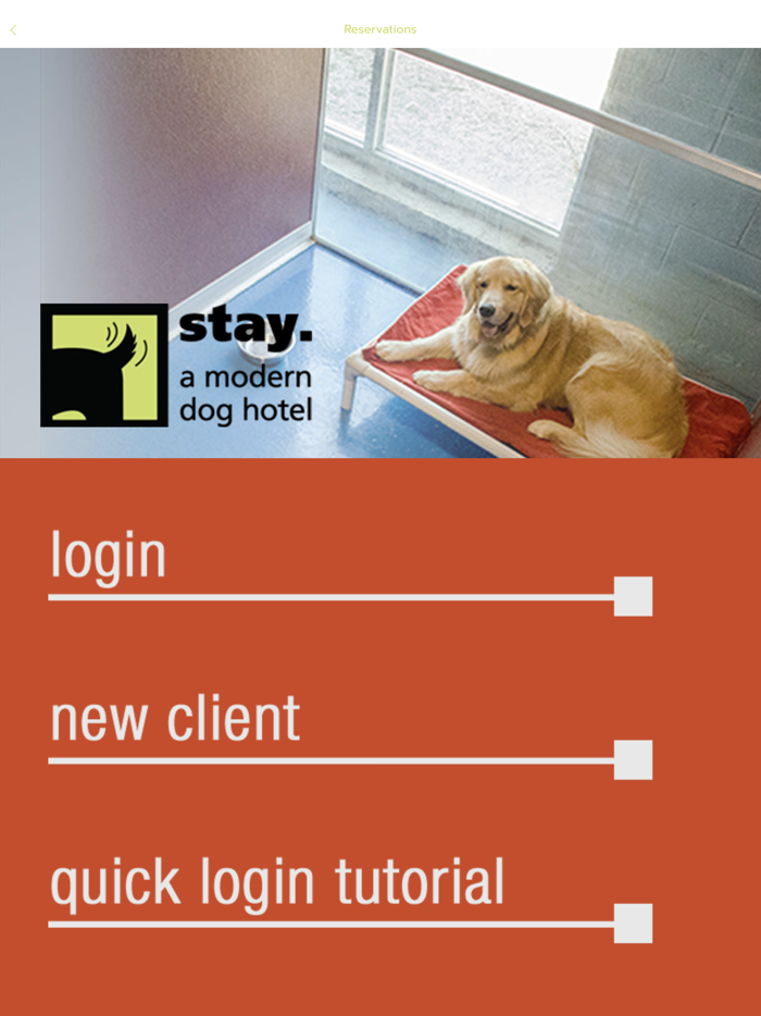 stay. a modern dog hotel