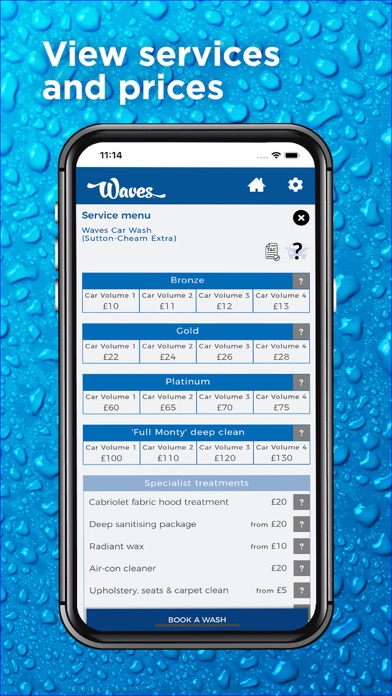 Waves Car Wash Screenshot