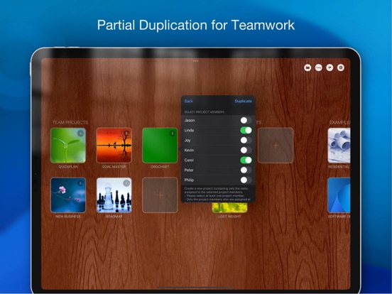 QuickPlan Basic - Projectplan iPad app afbeelding 6