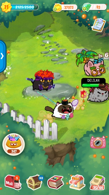 Fancy Cats - Kitten Care Game screenshot-0