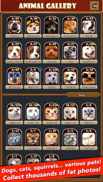 Animal Hot Casino Slots Screenshot