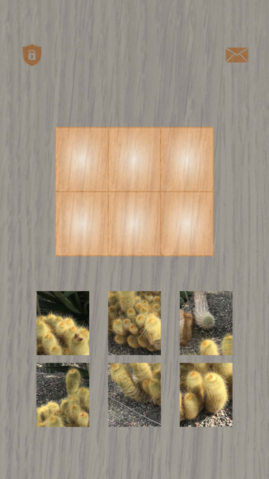 Plants: Tiling Puzzles Screenshot