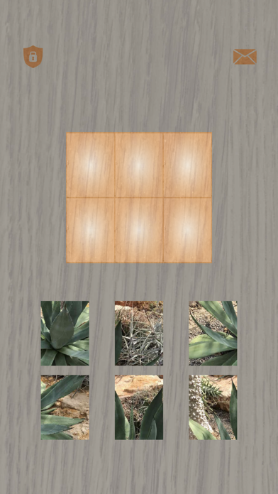 Plants: Tiling Puzzles Screenshot