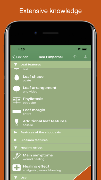 Medicinal Herbs Lexicon Screenshot
