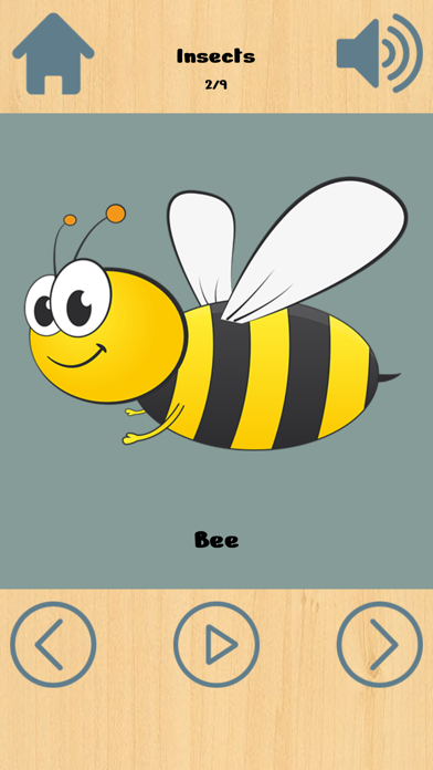 English Words Vocabulary Screenshot