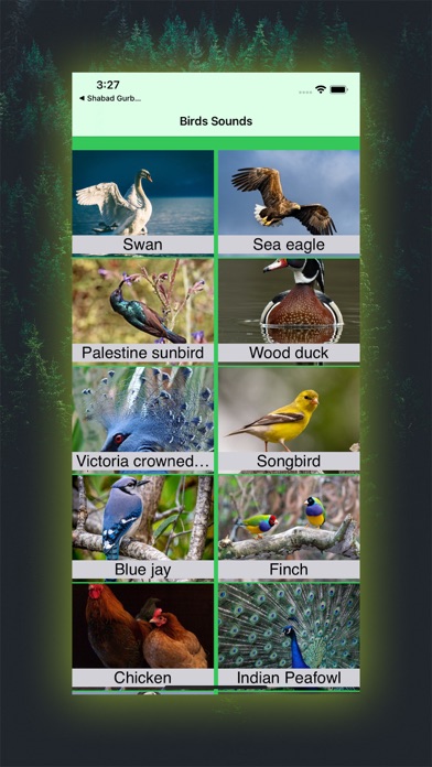 100 Bird Sounds Screenshot