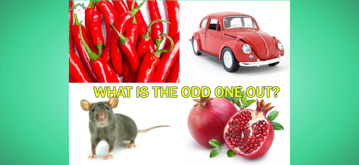 Baby what shouldn’t be here