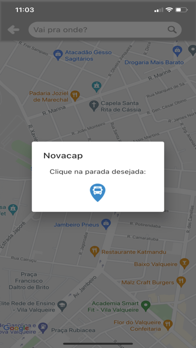Novacap App Screenshot