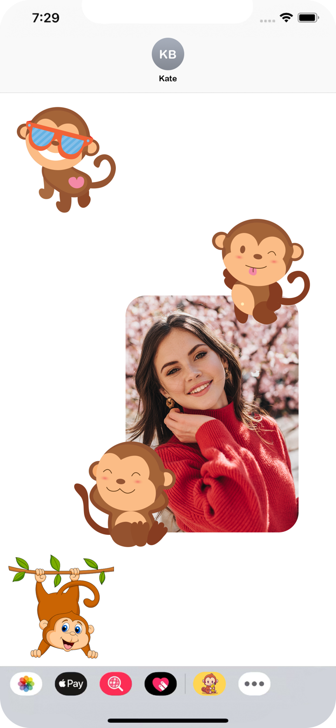 Animated Monkey Friends