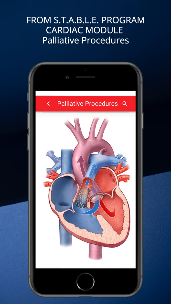 STABLEize for HealthStream
