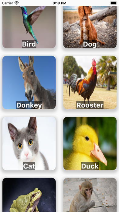 Animals Voices Screenshot