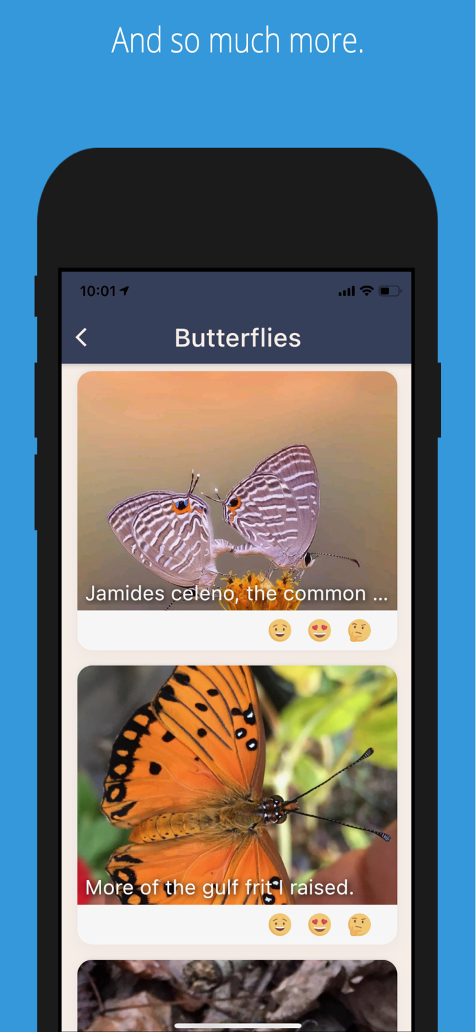 Wonder -- About Your World