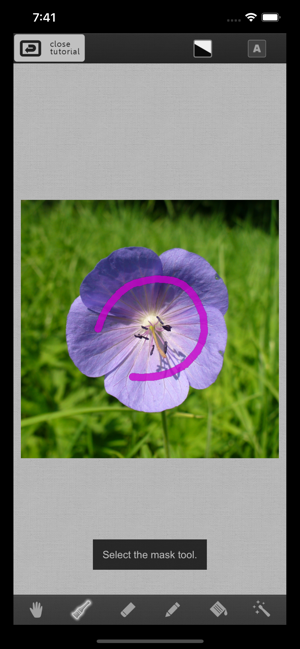 ‎Auto Colorize Pro Screenshot