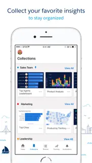 crm analytics iphone capturas de pantalla 4