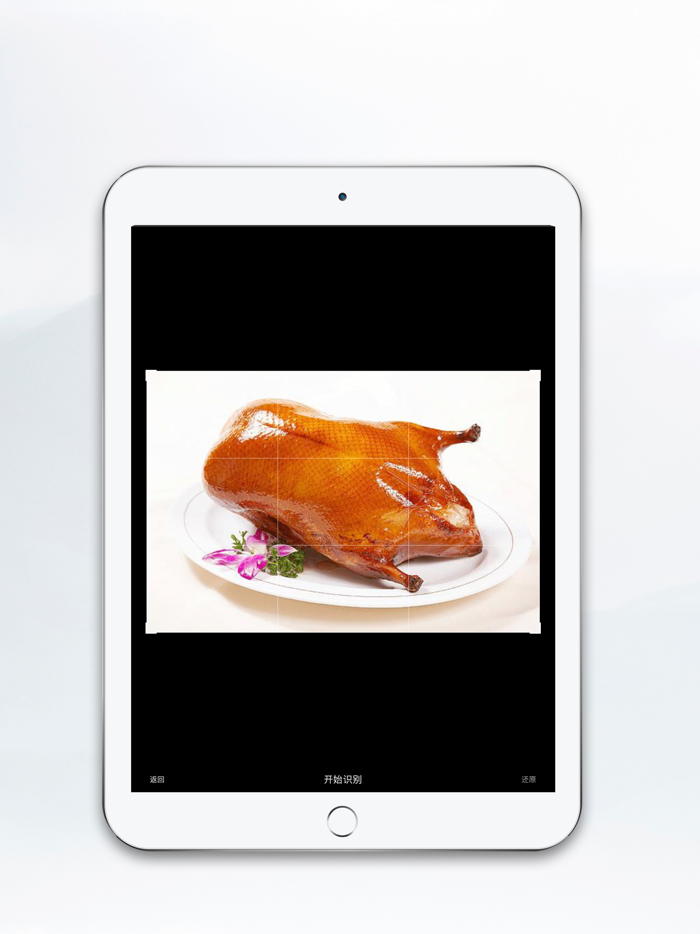 菜鉴-菜品健康识别