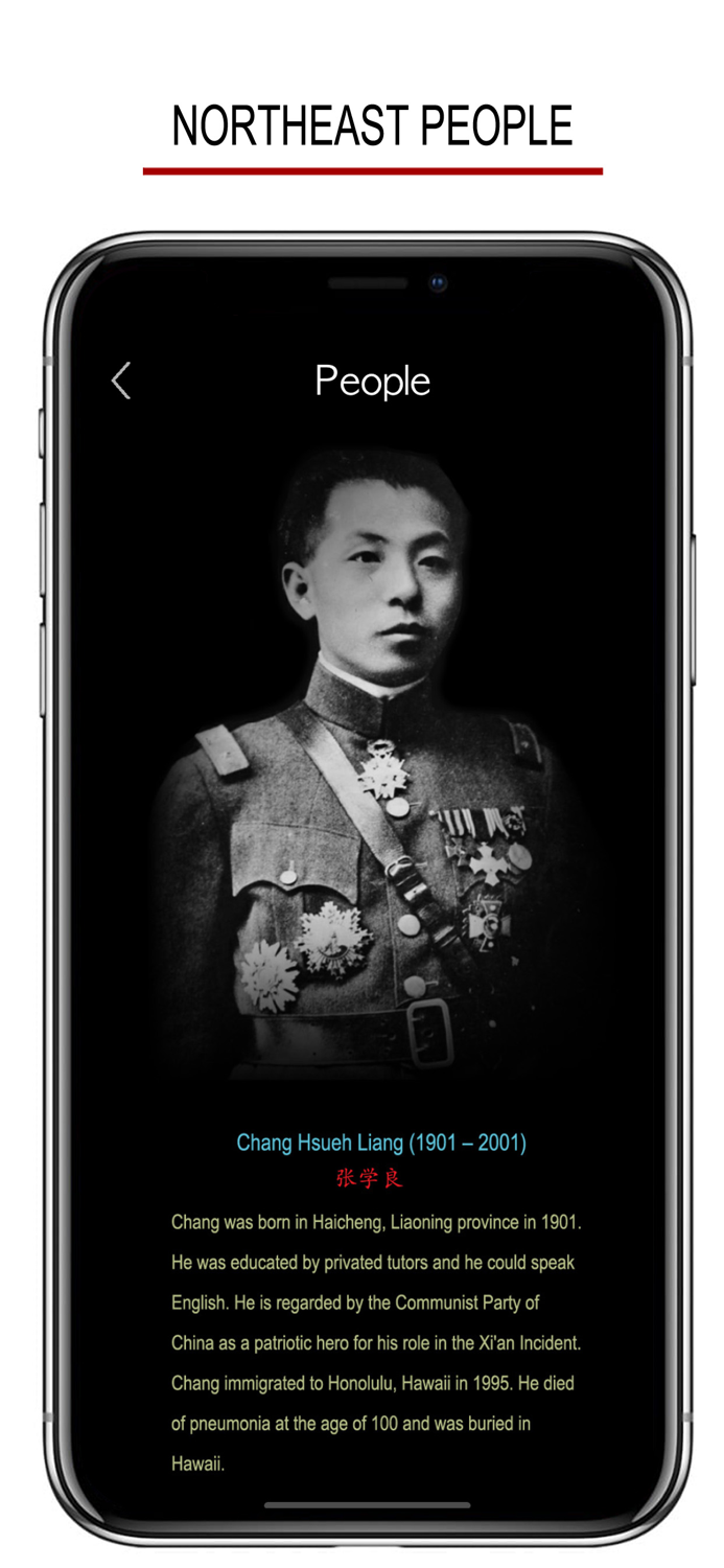 Northeastern Chinese Dialect