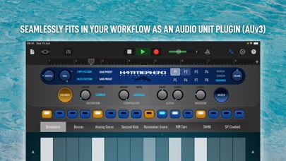 Hammerhead Rhythm Sta... screenshot1