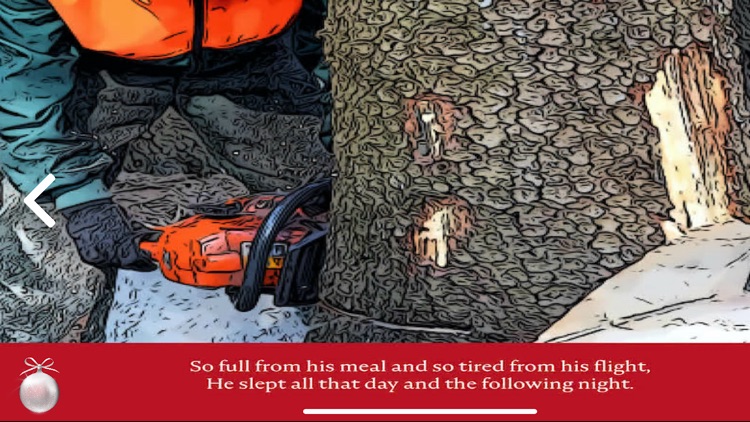 Rocky Owl's Christmas Story screenshot-4