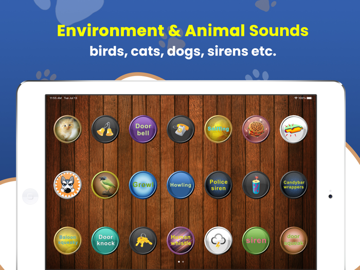 Dog Teaser Sound Box