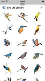 bird life stickers problems & solutions and troubleshooting guide - 1