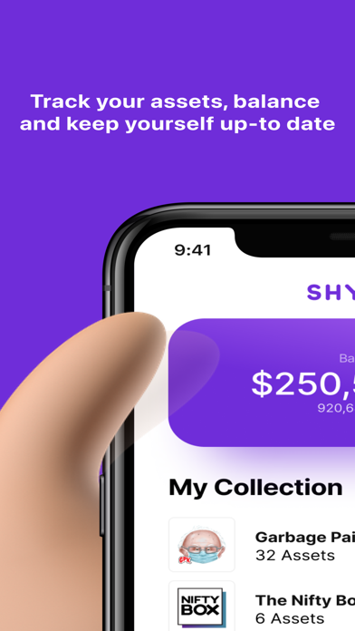 Shyn - NFT Portfolio Screenshot