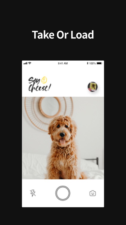 Low Polar - Instant Photo screenshot-3