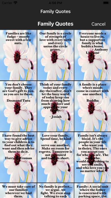 Family-Quotes Screenshot