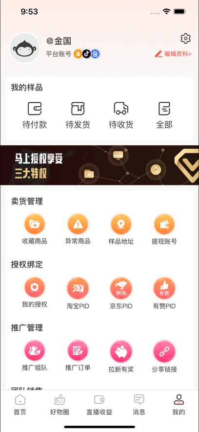 红人伴侣