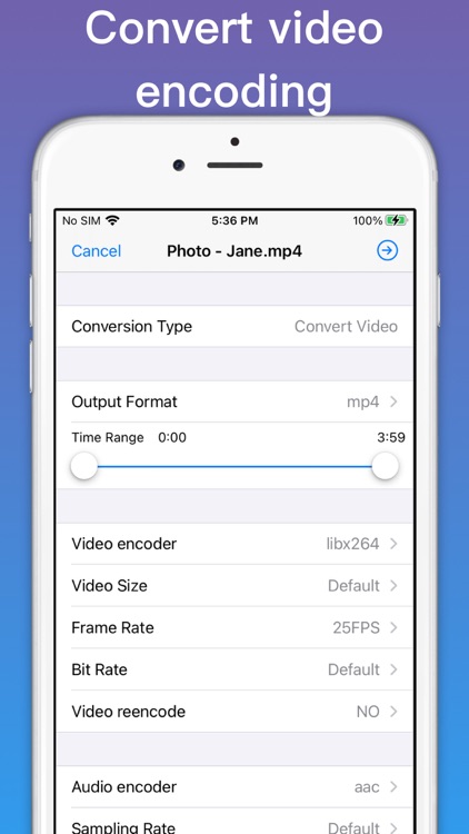 MP4 Converter - video to audio