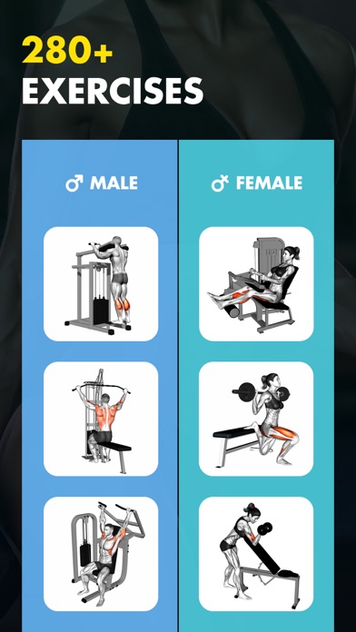 Gym Workout My Fitness Planner Screenshot