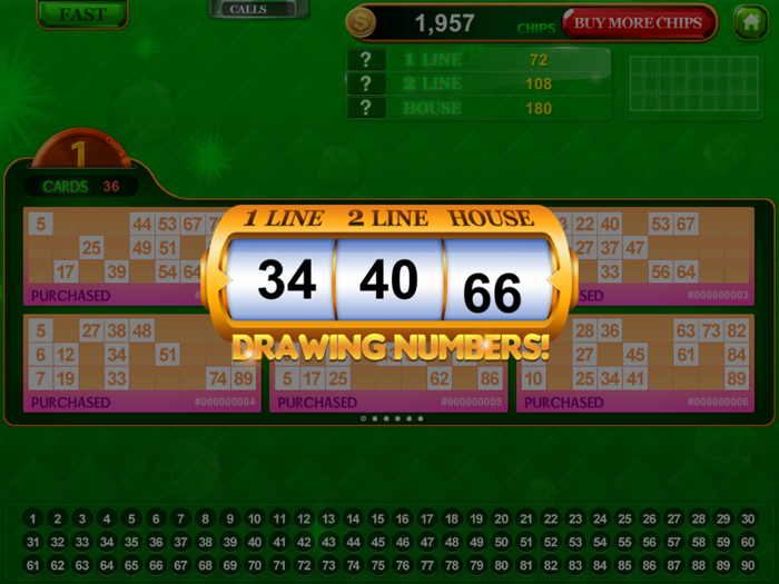 Bingo Solo 90  90 Ball Bingo