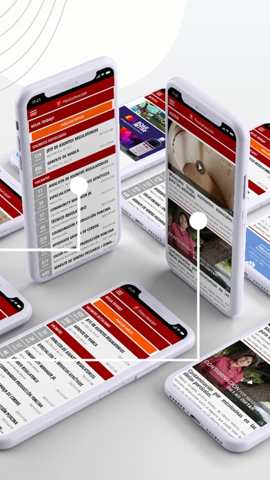 Porcicultura.com Screenshot