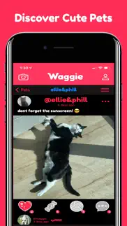 waggie - pet social network problems & solutions and troubleshooting guide - 2