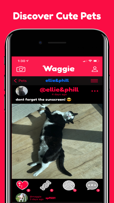 Waggie - Pet Social Network Screenshot