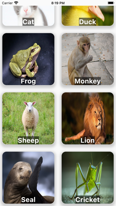 Animals Voices Screenshot
