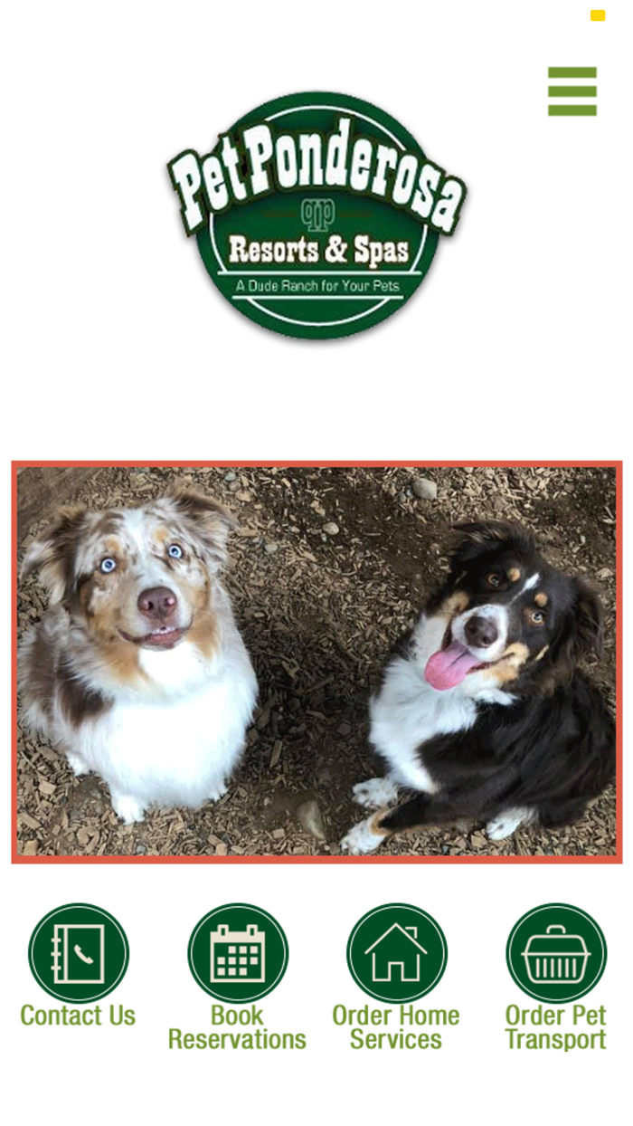 Pet Ponderosa Resorts and Spa