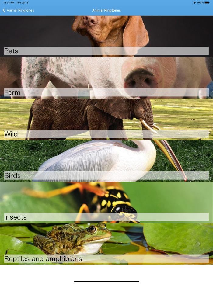 Funny Animal Ringtones Sounds