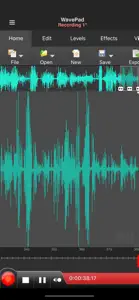 WavePad Master's Edition screenshot #1 for iPhone