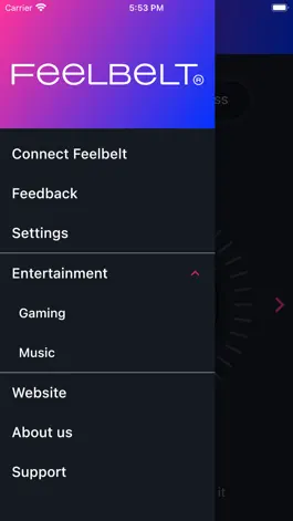 Game screenshot Feelbelt apk