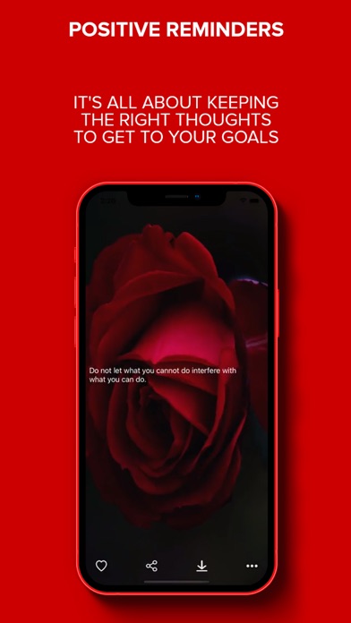 Sezen365 Screenshot