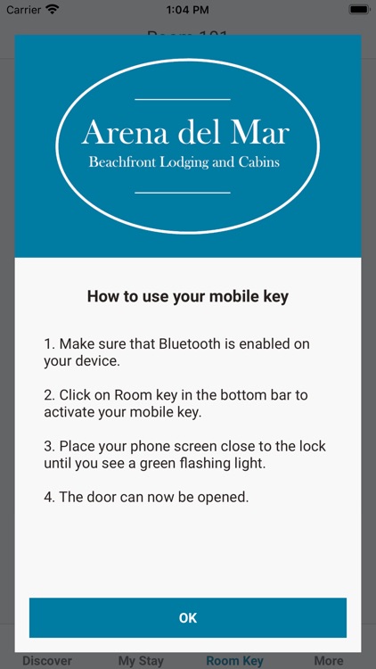 Arena del Mar screenshot-4