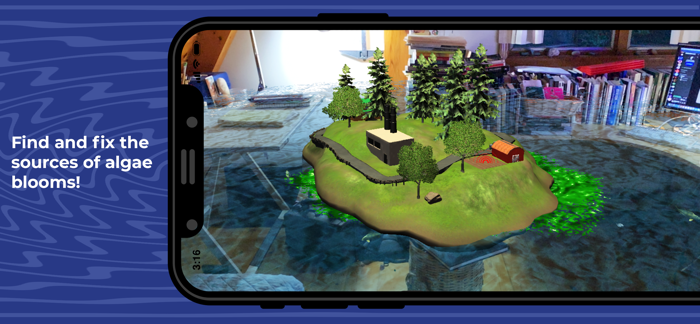 Algae Bloom Dynamics